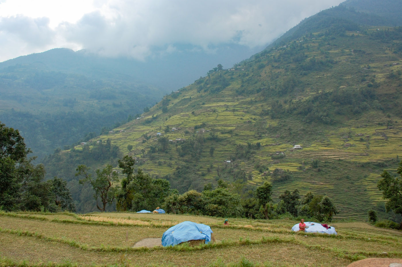 ヒレのロッジからの眺め