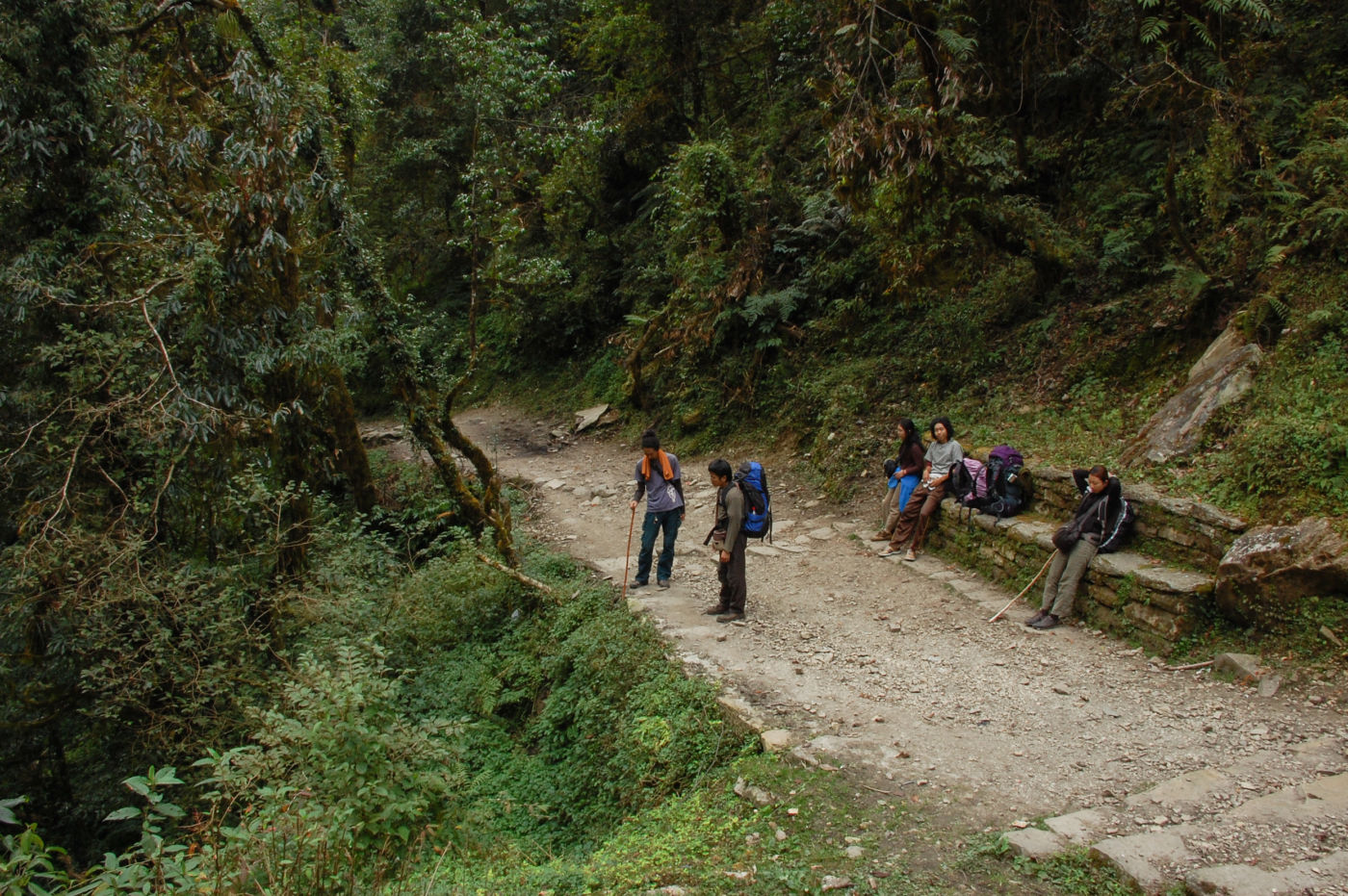 ゴレパニまでの山道