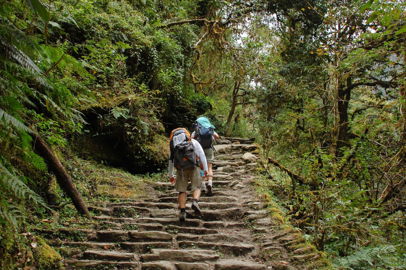 ゴレパニまでの山道とトレッカー