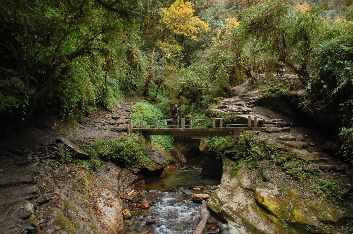 アンナプルナ 森の中の石橋