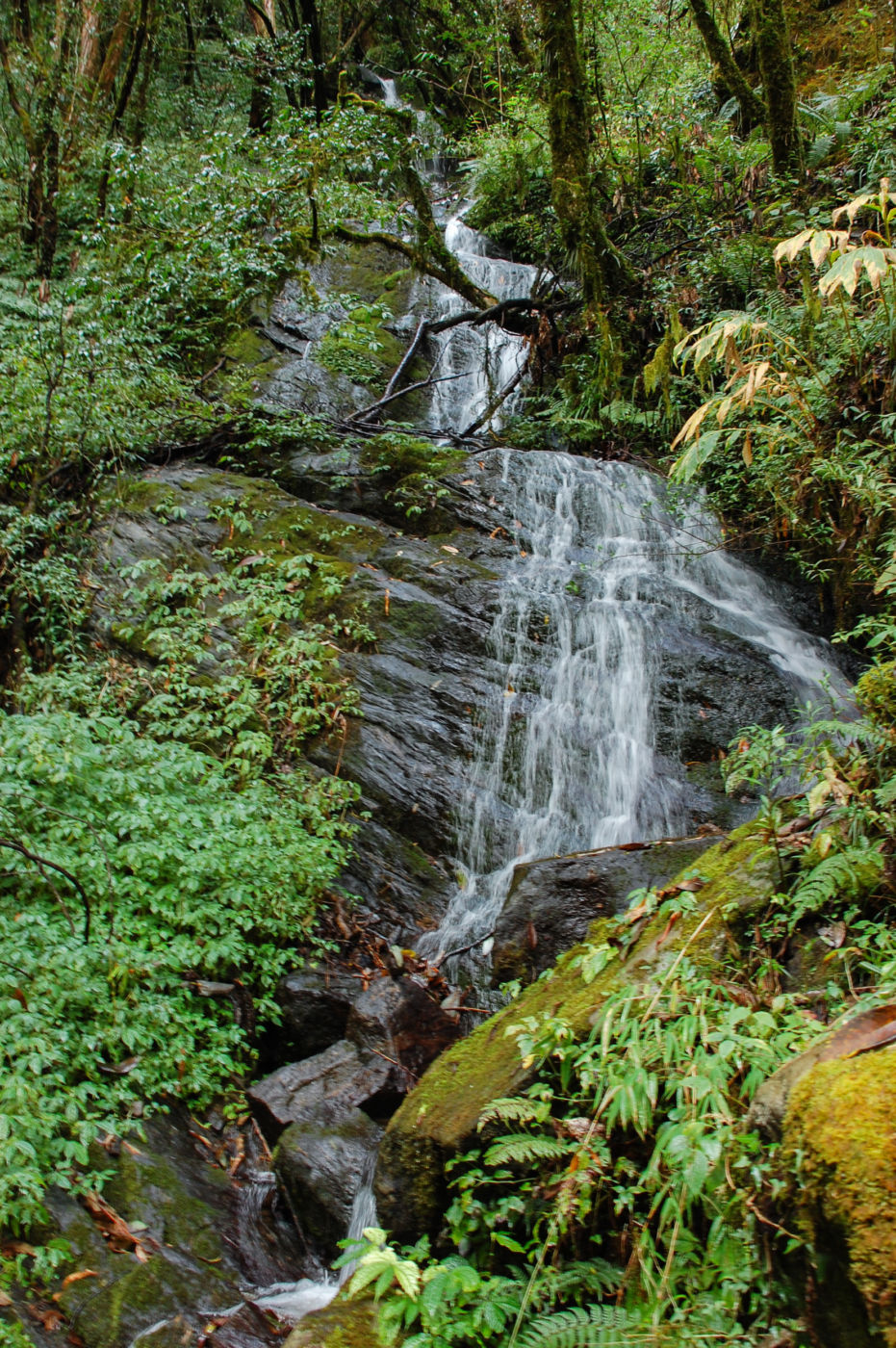 アンナプルナトレッキング 雨 滝