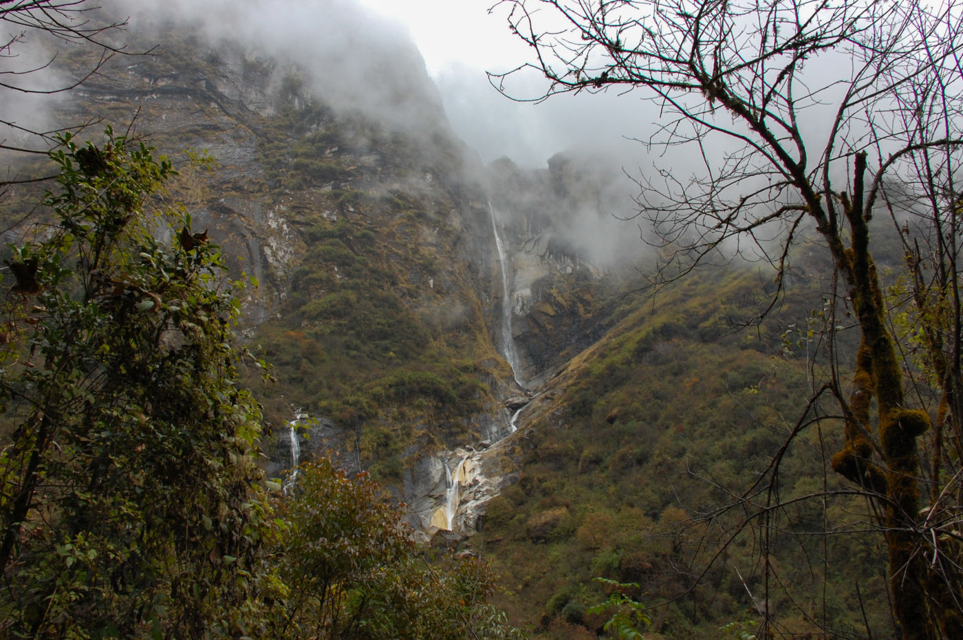 アンナプルナトレッキング ドバン周辺