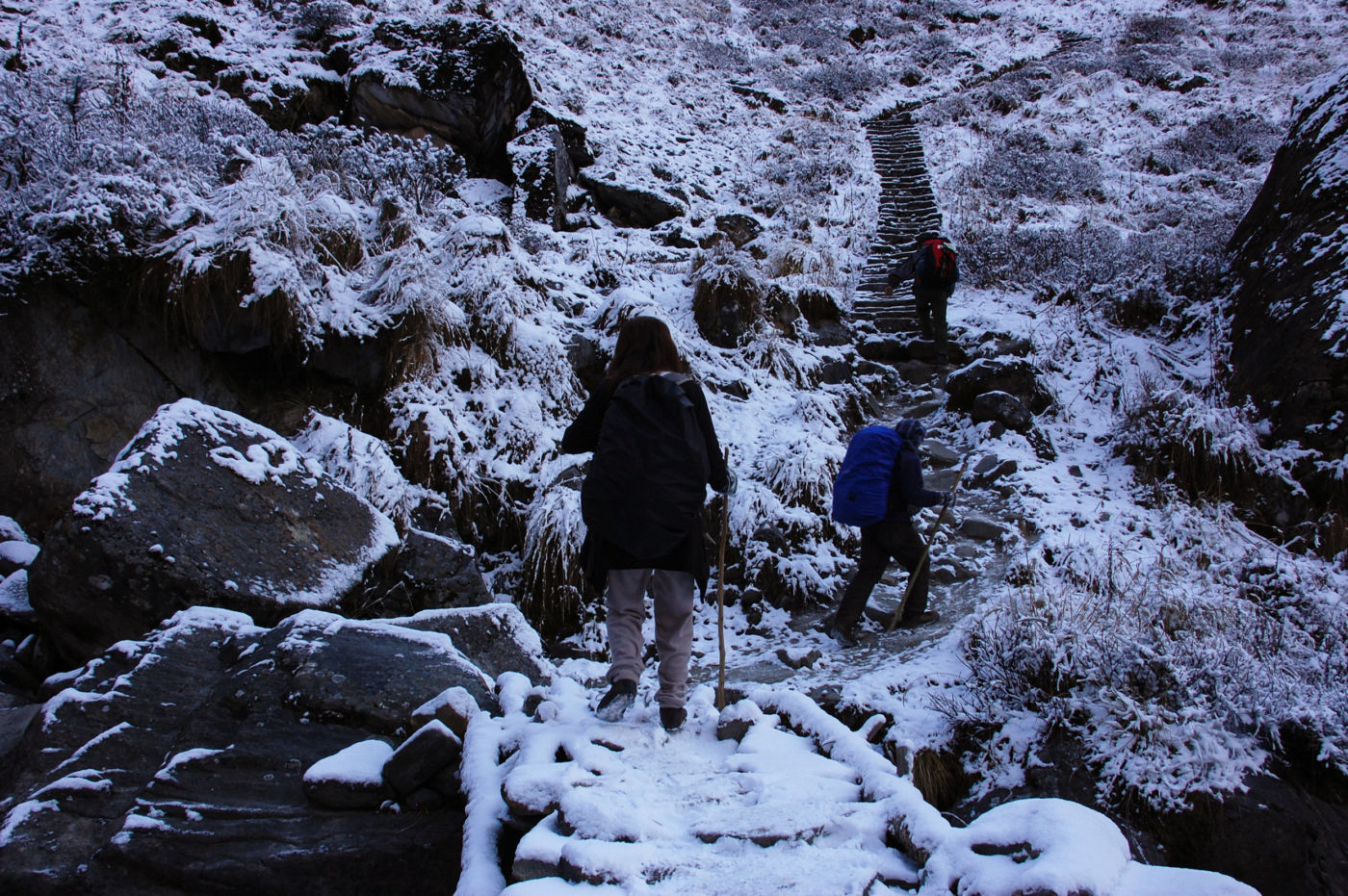 アンナプルナトレッキング 雪道