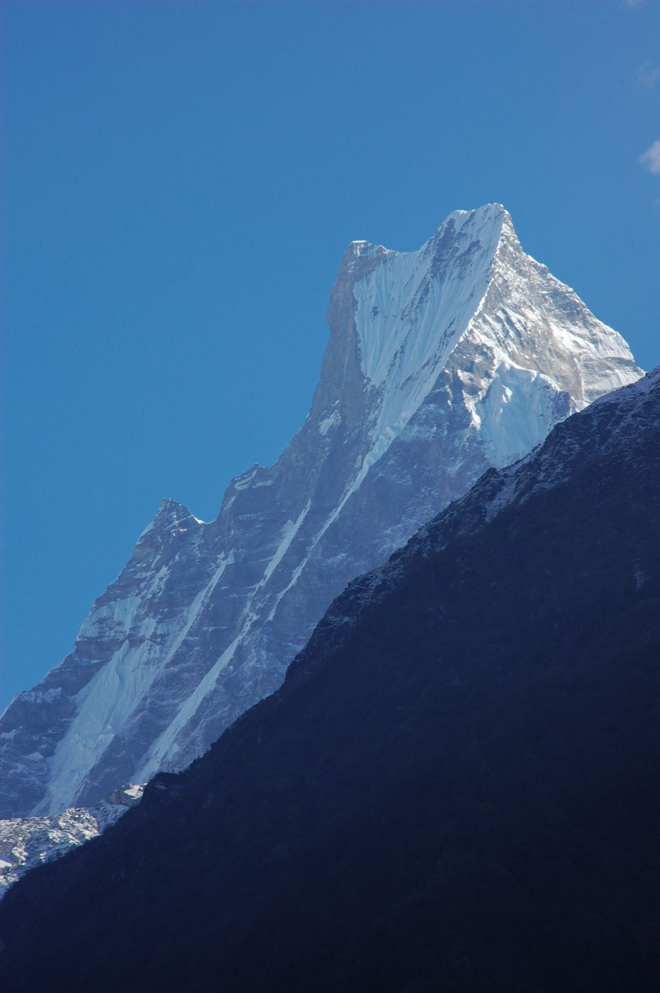 フィッシュテイル 魚の尾 マチャプチャレ