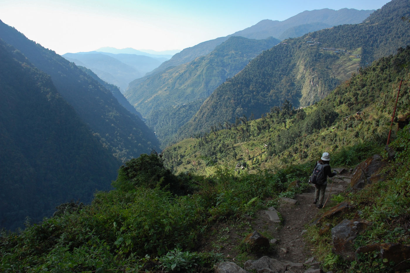 アンナプルナトレッキング 下り道