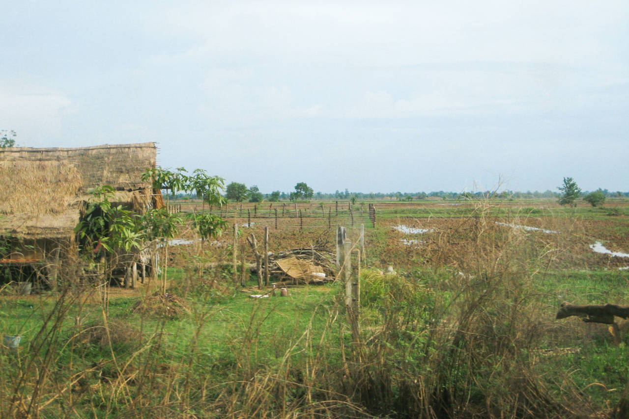 カンボジアの農村地帯