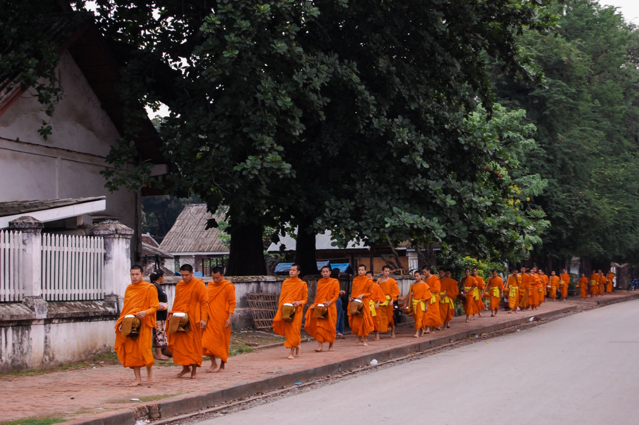 ルアンパバーン 早朝の托鉢 僧の列